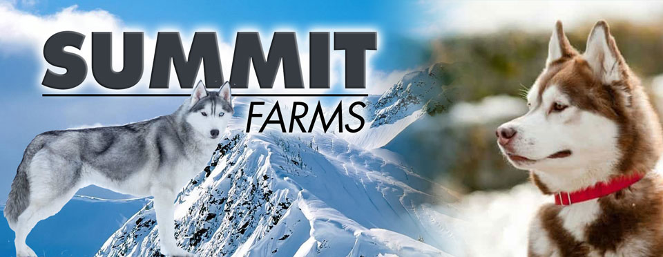 banner of summit farms